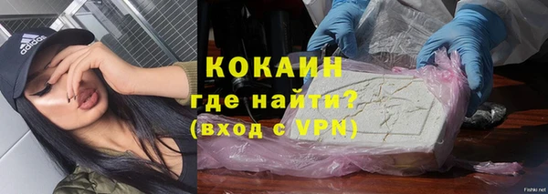 стаф Балахна