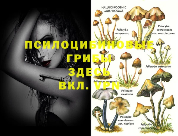 стаф Балахна