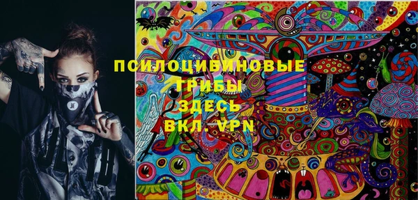 стаф Балахна