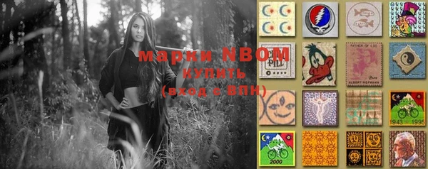 PSILOCYBIN Приозерск