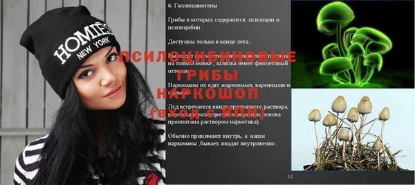 прущая мука Аркадак