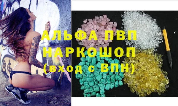 стаф Балахна